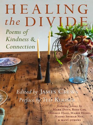 cover image of Healing the Divide